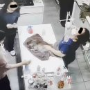 광주동물병원 이미지