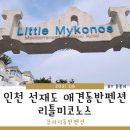 리틀미코노스8 | 인천 선재도 애견동반펜션 리틀미코노스 후기 (2021년 8월)