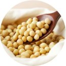 콩이야기 이미지