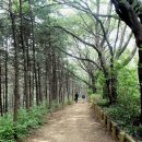 호굴