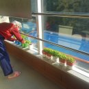 (주)늘푸른인력 네이버블로그
