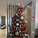 리마(LIMA) | [페루 리마] Ibis Lima Larco Miraflores 숙박 후기