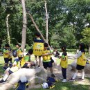 선일초등 이미지