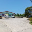 표선리-4 이미지