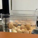 카레주쿠 | 수원 성균관대 혼밥 가능한 카레 맛집 | 카레주쿠 후기