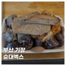 순대벅스 이미지