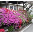 코너동물병원 이미지