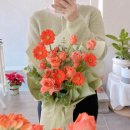 사림동174 이미지