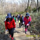 원광대학교 행정대학원 이미지