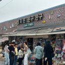 왕구와뭉구