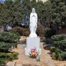 본오성당 건너편 이미지