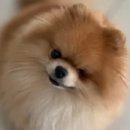 힘찬동물병원 이미지