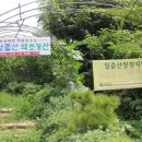 월출산 약초농산 이미지