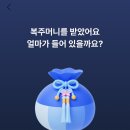 복주머니