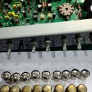 블랙스타 이미지