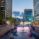 나정순할매쭈꾸미 이미지