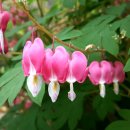 둘레길 펜션 이미지