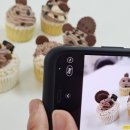 대구애견스쿨 이미지