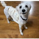 우동우리밀마을 | 2026-2