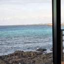 루디아 | ​[내돈내산] 눈 뜨면 협재 바다가 한눈에! 10만원대 제주 감성숙소 루디아 바다 펜션 2동 후기