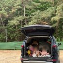 태안호스릴-42 | 태안 바다뷰 캠핑장ㅣ5세,3세 아이랑 캠핑 태안노을숲캠핑장