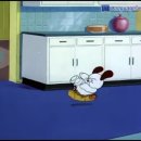 꼬마강아지 이미지