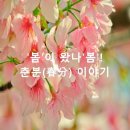 오늘은 낮과 밤이 같다는 춘분 입니다ㅡ봄비와 함께 '춘분(春分)'이 찾아왔어요ㅡ낮과 밤의 길이가 같아지고ㅡ 더위와 추위가 같아지는 춘 이미지