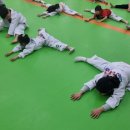 가촌코리아태권도장 이미지