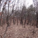 발랑1리 이미지