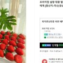 정병화 농장 이미지