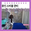 세븐일레븐 용인역북골드점 | [용인 처인] 역북동 피부관리 골드라이프 안티에이징 스피큘 후기 주차장
