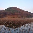 운암지수변공원 이미지