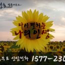 최성호법무사