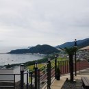 남해블라썸 이미지