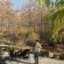 천무관하랑도장 | 11월 마감 (두쫀쿠 도장깨기,마이머랭 솔직후기,채원감자탕,양평 낭만캠핑장,여주아울렛 보테가베네타...