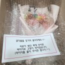 컨브리오 이미지