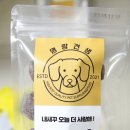 명랑견생 이미지