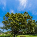 씨에스 호텔 앤 리조트 이미지