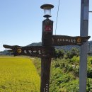예향천리마실길 10코스 가시연꽃길 이미지