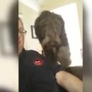 수정애견미용실 이미지