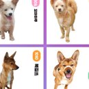 멍스데이 이미지