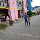 양지초등학교 이미지