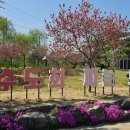 도화보건지소 이미지