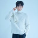 진영 이미지