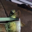 석동축산 이미지