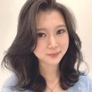 선해어 이미지