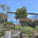 비클래시 이미지