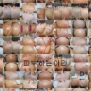 아라피부관리실