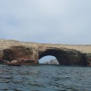 새들의천국 이미지