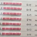 동탄제일아이희망 박찬홍 원장님 동결이식1차 : 2차 피검 더블링 성공 시험관 비용